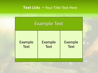 Bundle Copy Vegetation PowerPoint Template