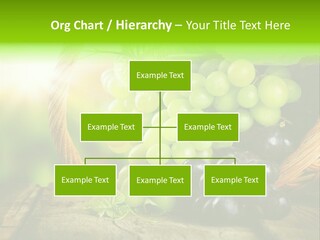 Bundle Copy Vegetation PowerPoint Template