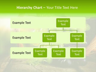 Bundle Copy Vegetation PowerPoint Template