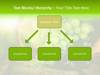 Bundle Copy Vegetation PowerPoint Template