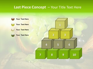 Bundle Copy Vegetation PowerPoint Template