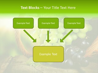 Bundle Copy Vegetation PowerPoint Template