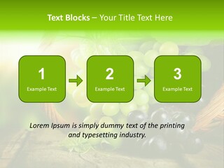 Bundle Copy Vegetation PowerPoint Template