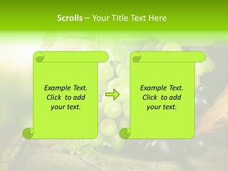 Bundle Copy Vegetation PowerPoint Template