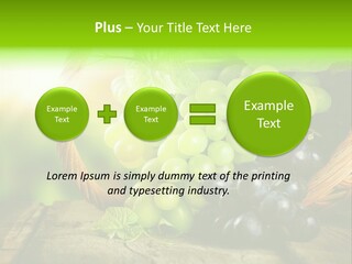 Bundle Copy Vegetation PowerPoint Template