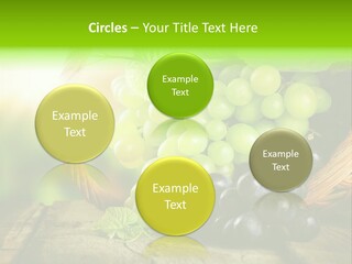 Bundle Copy Vegetation PowerPoint Template