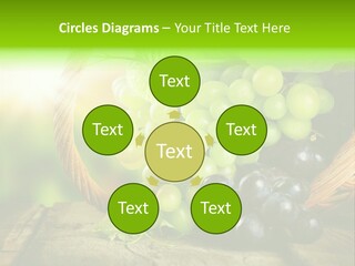 Bundle Copy Vegetation PowerPoint Template