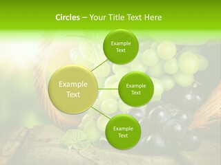 Bundle Copy Vegetation PowerPoint Template