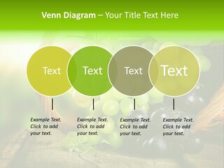 Bundle Copy Vegetation PowerPoint Template