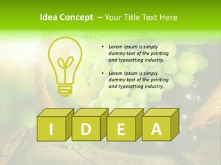 Bundle Copy Vegetation PowerPoint Template
