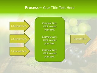Bundle Copy Vegetation PowerPoint Template