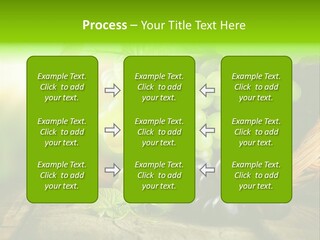 Bundle Copy Vegetation PowerPoint Template