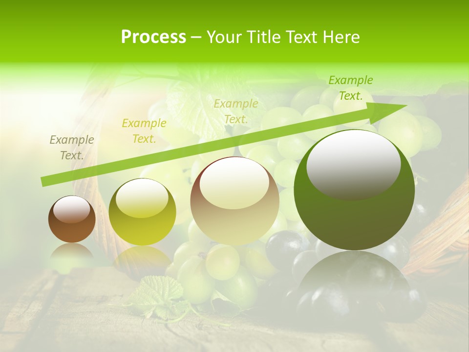 Bundle Copy Vegetation PowerPoint Template