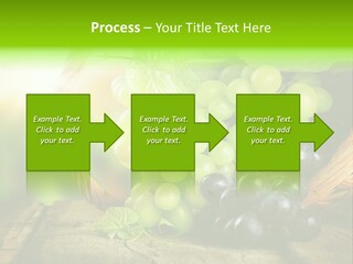 Bundle Copy Vegetation PowerPoint Template