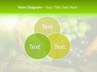 Bundle Copy Vegetation PowerPoint Template