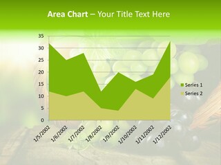 Bundle Copy Vegetation PowerPoint Template