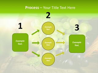 Bundle Copy Vegetation PowerPoint Template
