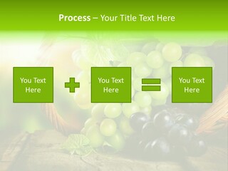 Bundle Copy Vegetation PowerPoint Template