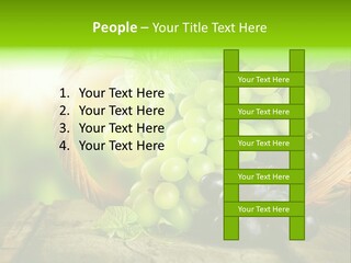 Bundle Copy Vegetation PowerPoint Template