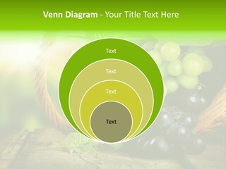 Bundle Copy Vegetation PowerPoint Template