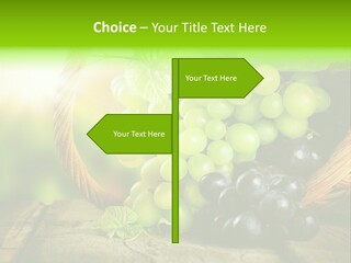 Bundle Copy Vegetation PowerPoint Template