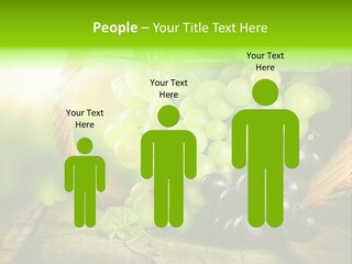 Bundle Copy Vegetation PowerPoint Template