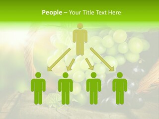 Bundle Copy Vegetation PowerPoint Template