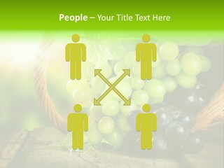 Bundle Copy Vegetation PowerPoint Template