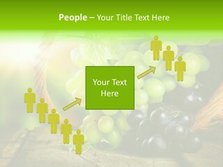 Bundle Copy Vegetation PowerPoint Template