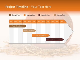 Halloween Ea Onal Bed PowerPoint Template