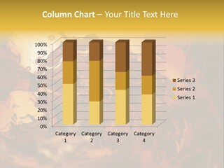 Drink Cocktail Close PowerPoint Template