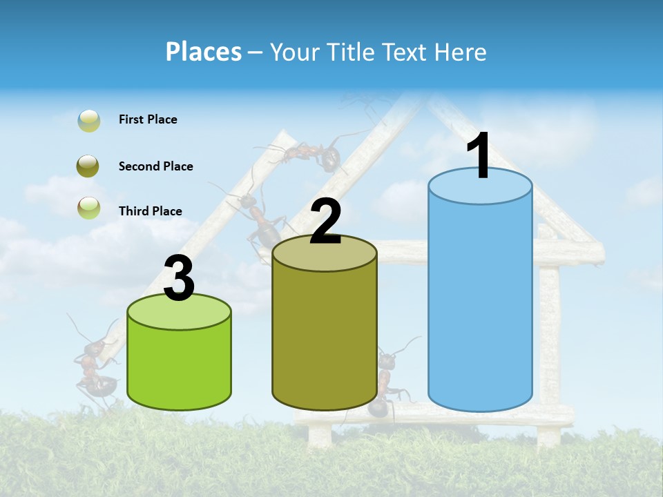 Build Plank Insects PowerPoint Template