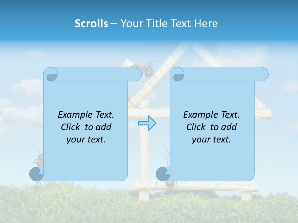 Build Plank Insects PowerPoint Template