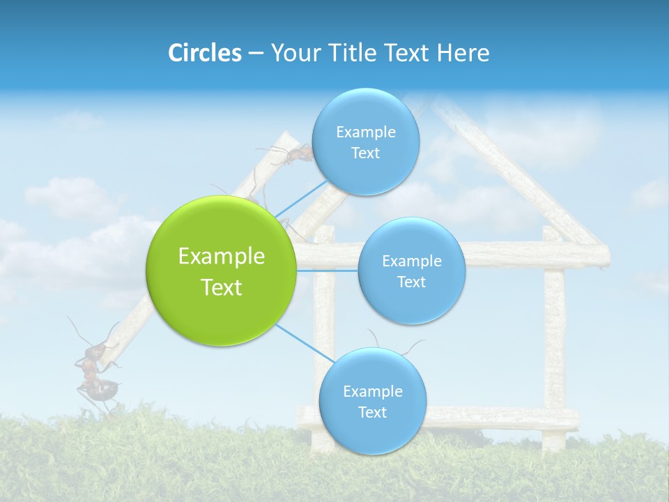 Build Plank Insects PowerPoint Template