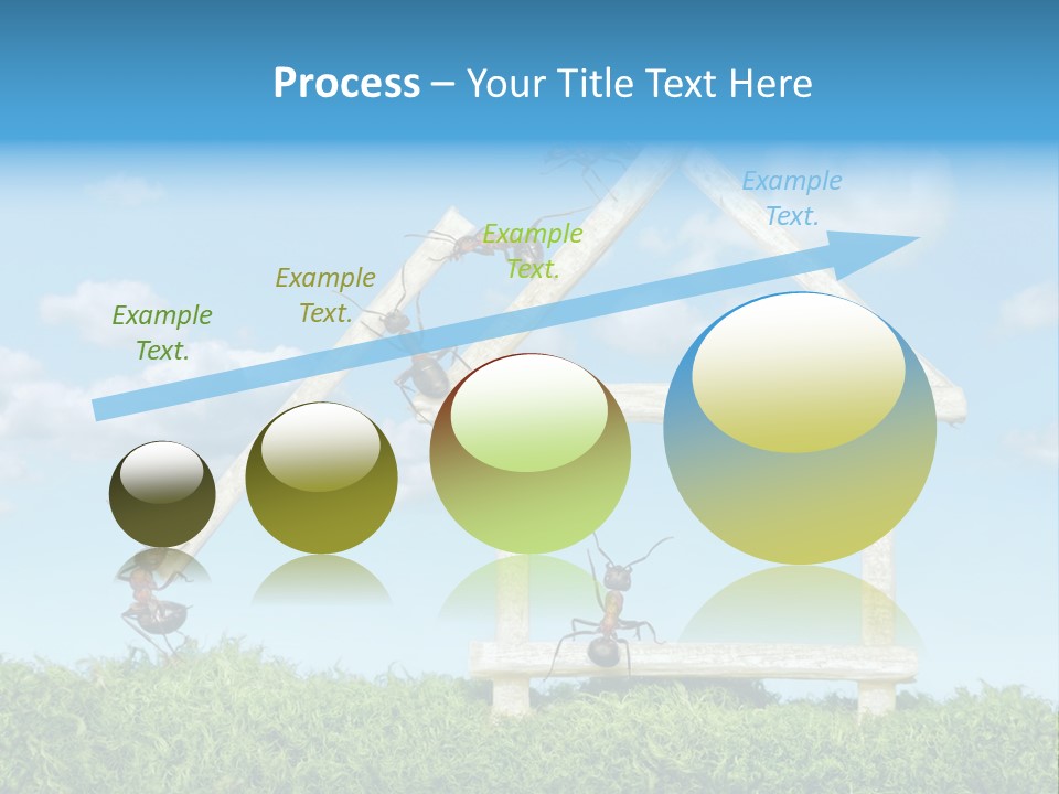 Build Plank Insects PowerPoint Template