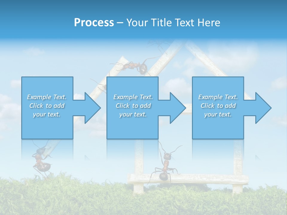 Build Plank Insects PowerPoint Template