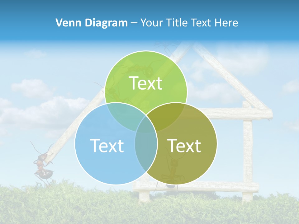 Build Plank Insects PowerPoint Template