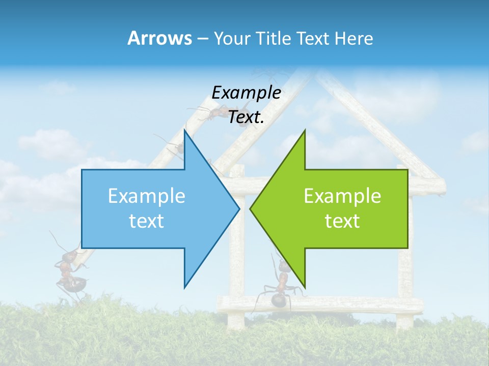 Build Plank Insects PowerPoint Template