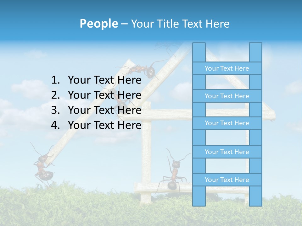 Build Plank Insects PowerPoint Template