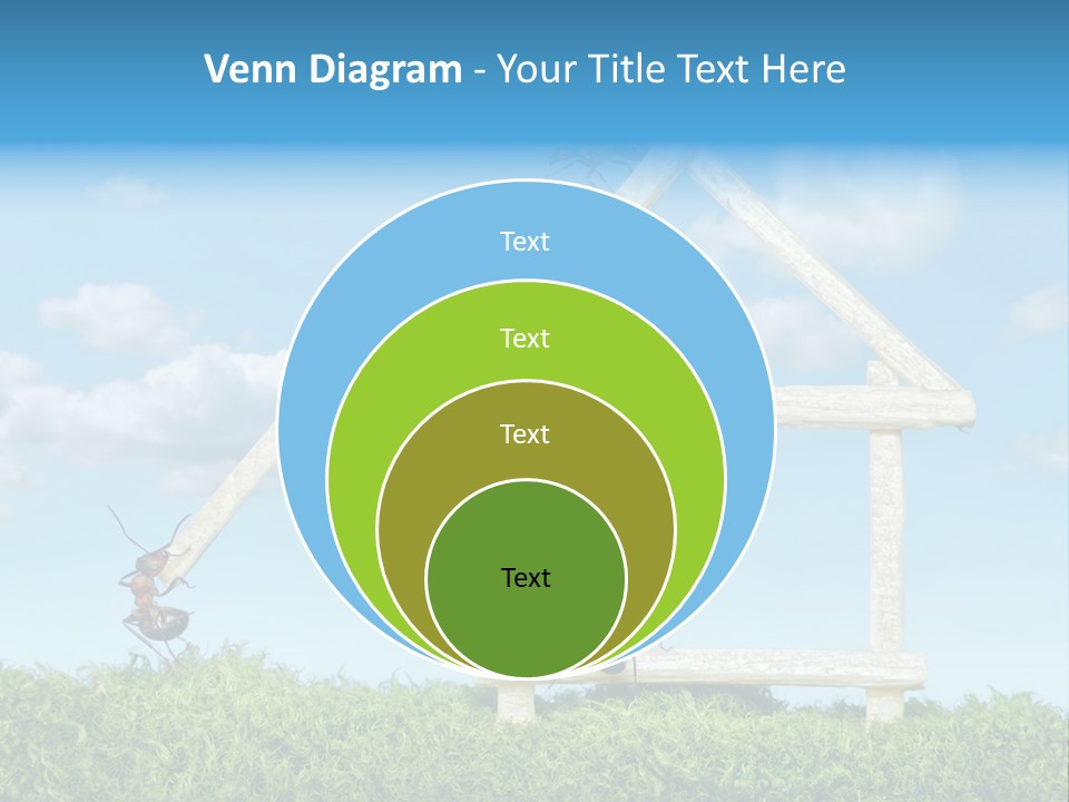 Build Plank Insects PowerPoint Template
