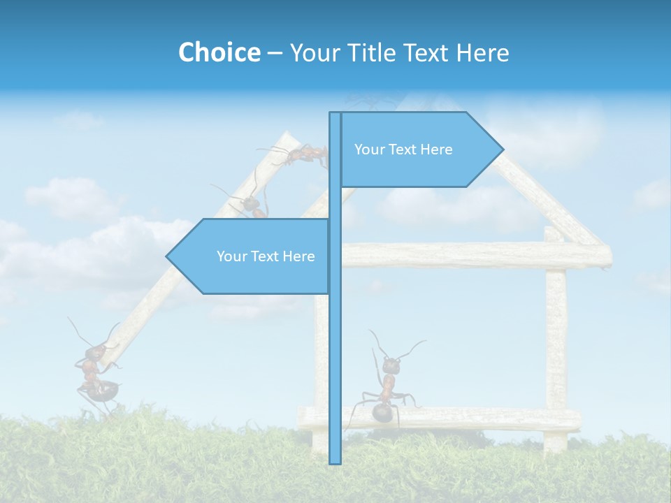 Build Plank Insects PowerPoint Template