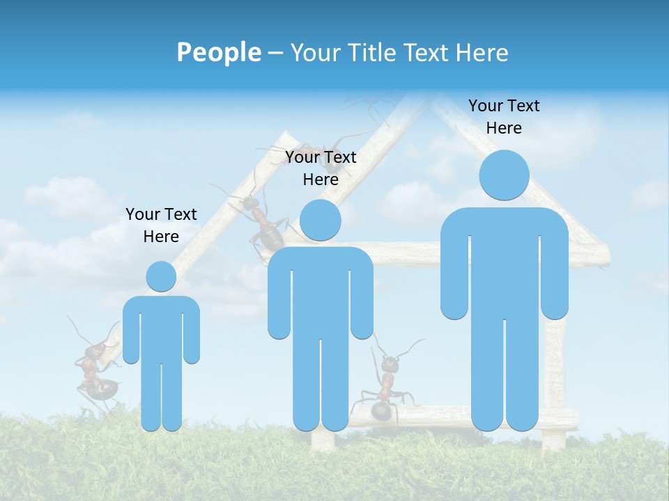 Build Plank Insects PowerPoint Template