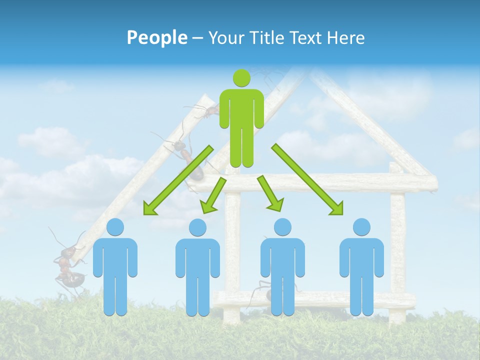 Build Plank Insects PowerPoint Template