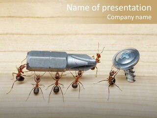 A Group Of Ants Standing On Top Of A Wooden Table PowerPoint Template