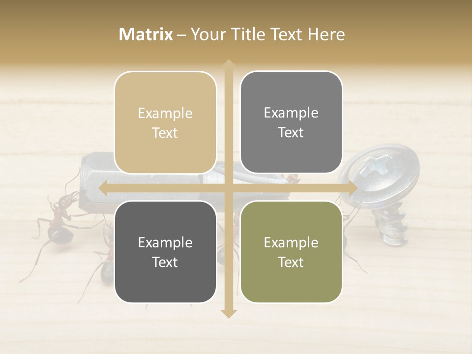 A Group Of Ants Standing On Top Of A Wooden Table PowerPoint Template