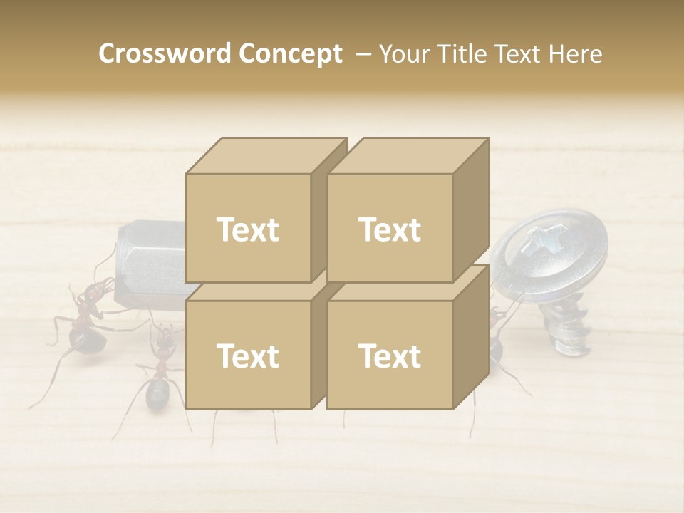 A Group Of Ants Standing On Top Of A Wooden Table PowerPoint Template