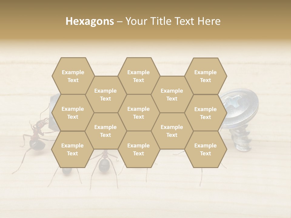 A Group Of Ants Standing On Top Of A Wooden Table PowerPoint Template
