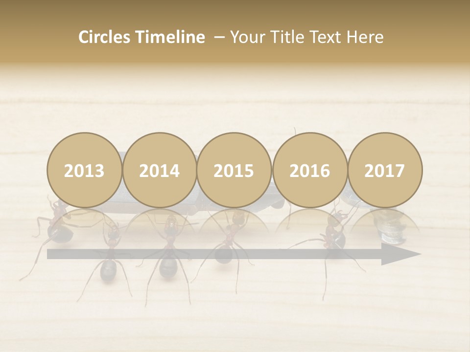A Group Of Ants Standing On Top Of A Wooden Table PowerPoint Template