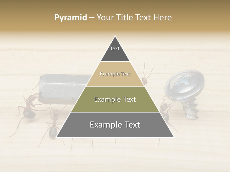 A Group Of Ants Standing On Top Of A Wooden Table PowerPoint Template