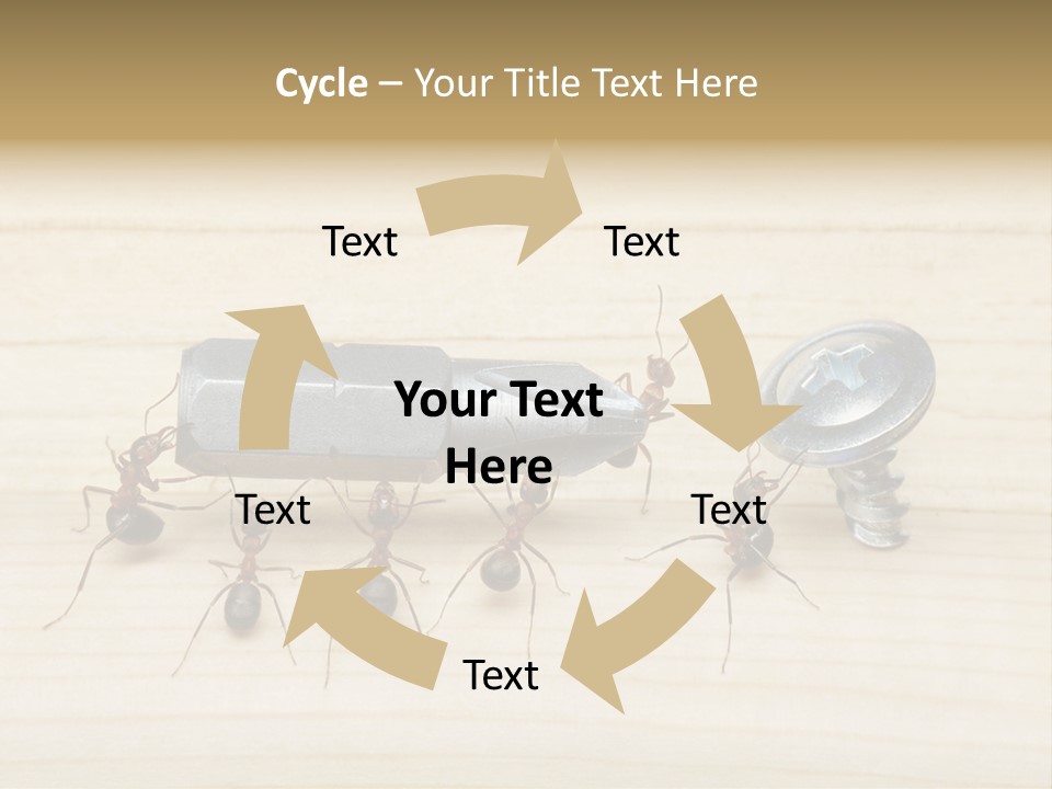 A Group Of Ants Standing On Top Of A Wooden Table PowerPoint Template
